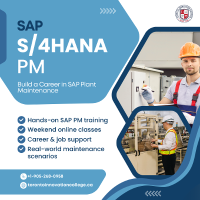 SAP S/4HANA Plant Maintenance Course Support Service